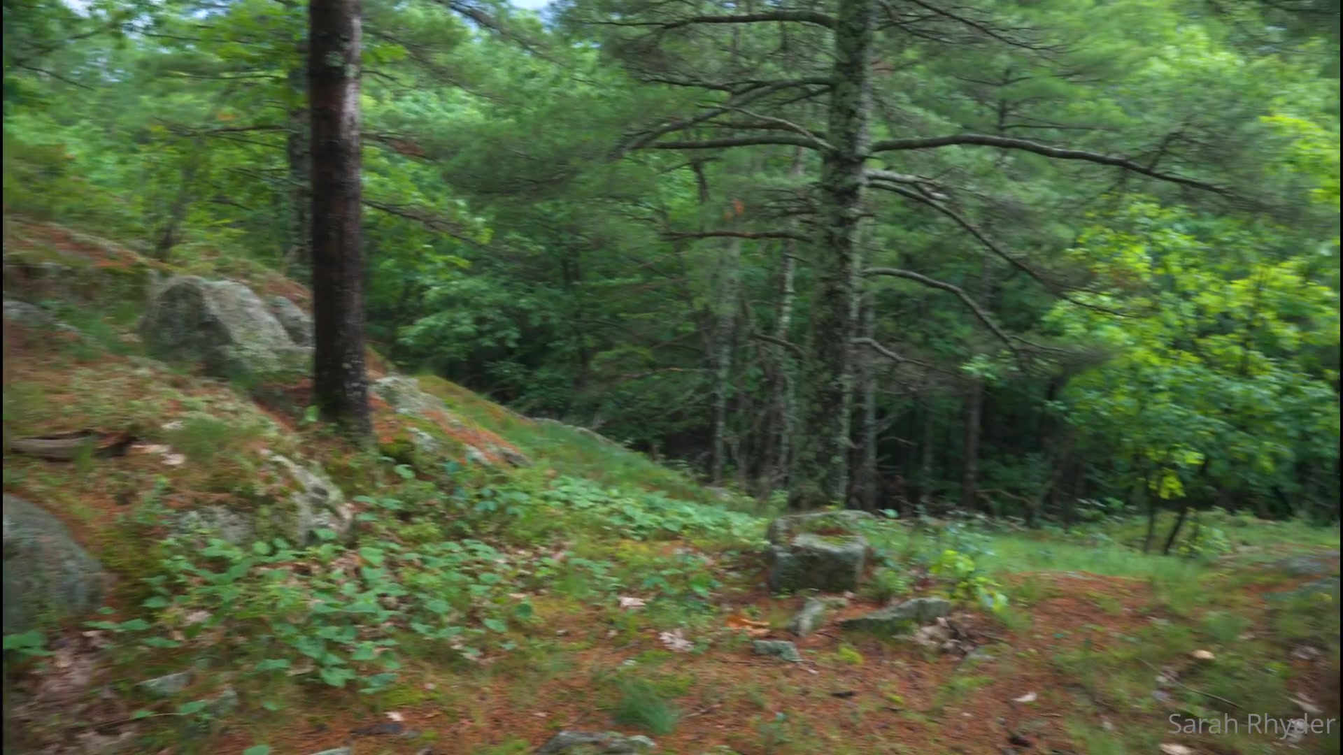 frame_01e782fa812fd9d09b.jpg